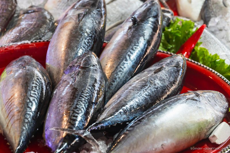 Quel est le poisson de mer le moins cher ? Guide complet pour consommer malin