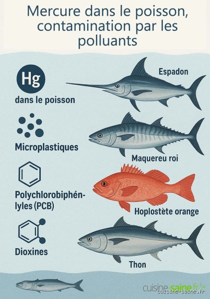 Quel est le poisson le moins toxique ? Le guide complet pour manger sain sans sacrifier votre santé