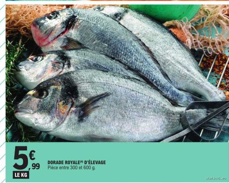 Quel est le prix d'une dorade ? Mon guide pratique pour ne pas se faire avoir