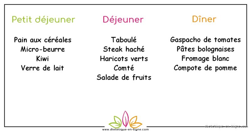 Quel est le régime alimentaire le plus sain pour une journée ? Entre dogmes nutritionnels et réalité biologique du corps humain