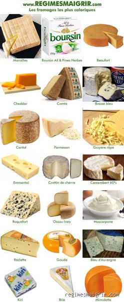 Quel fromage a 45% de matière grasse ? Le guide complet pour décrypter les étiquettes et savourer les meilleurs crus