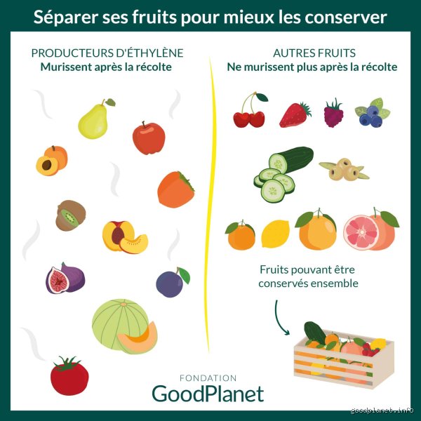 Quel fruit ne faut-il pas mélanger avec les autres pour éviter de gâcher vos paniers et votre digestion ?