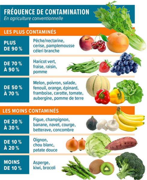 Quel légume est bourré de pesticides ? Enquête choc sur l’envers de nos assiettes saines