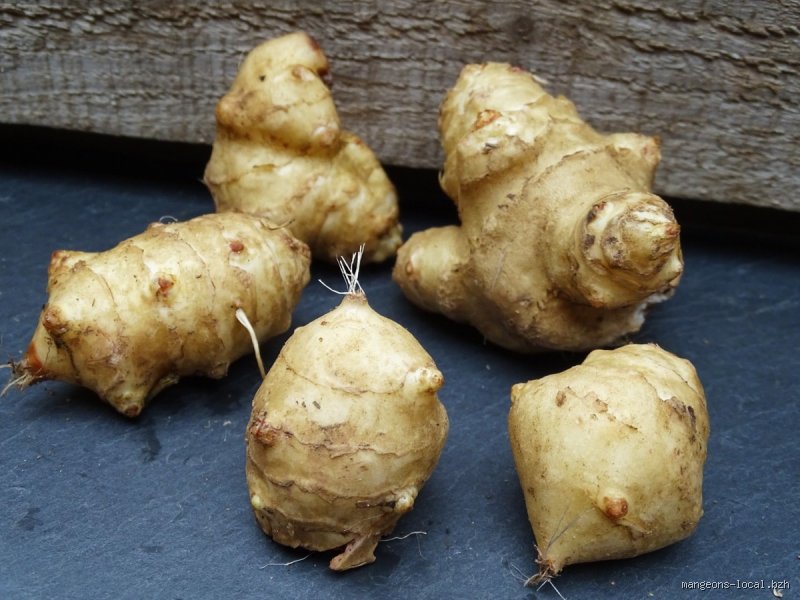 Quel légume est surnommé la viande des pauvres ? Voyage au cœur d'une expression qui cache une puissance nutritionnelle brute