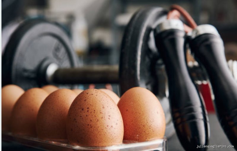 Quel œuf pour musculation ? Choisir la meilleure source de protéine pour vos muscles