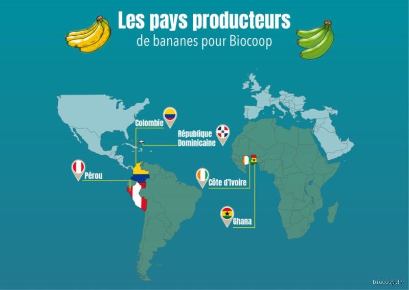 Quel pays produit les meilleures bananes ?