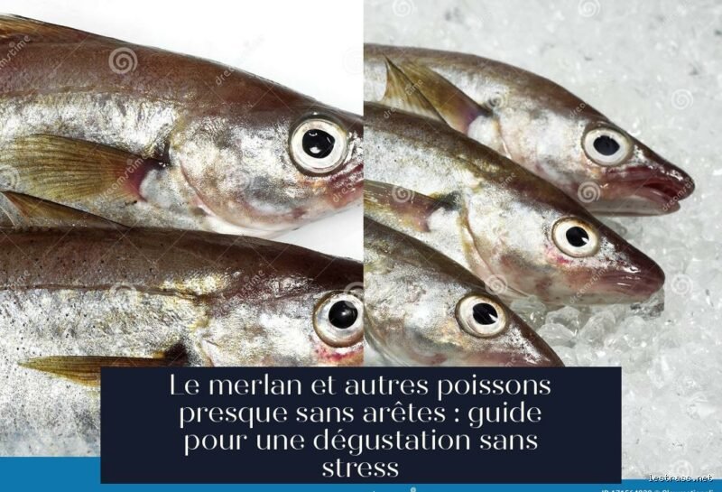 Quel poisson a moins d'arêtes ?