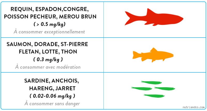 Quel poisson choisir pour limiter au maximum les toxines dans votre assiette ?