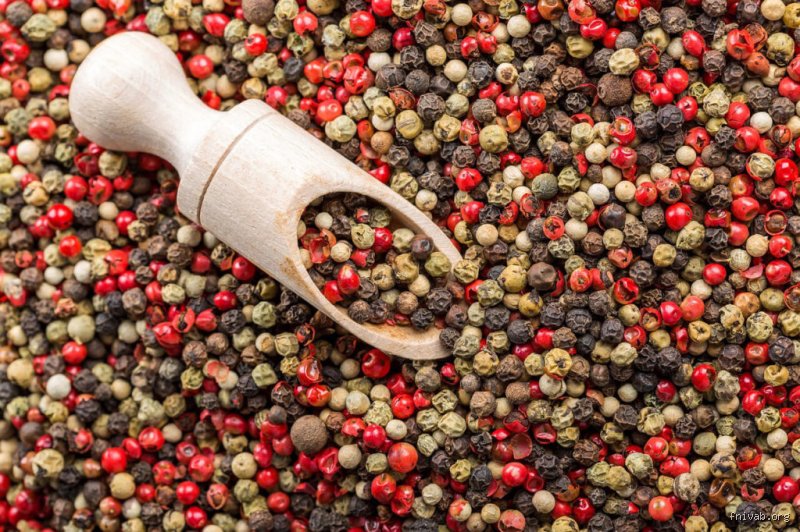 Quel poivre pour quelle utilisation ? Le guide expert des accords et des saveurs