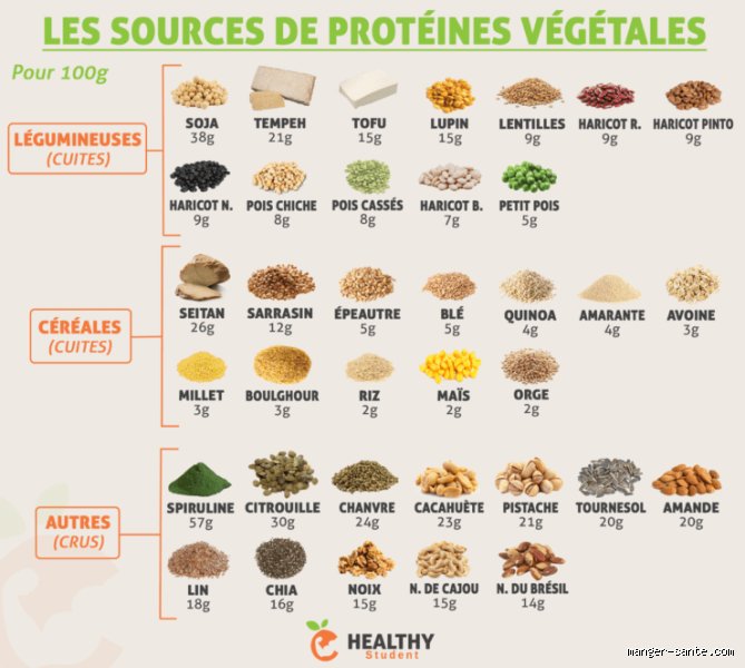 Quel aliment cale le plus : les véritables champions de la satiété