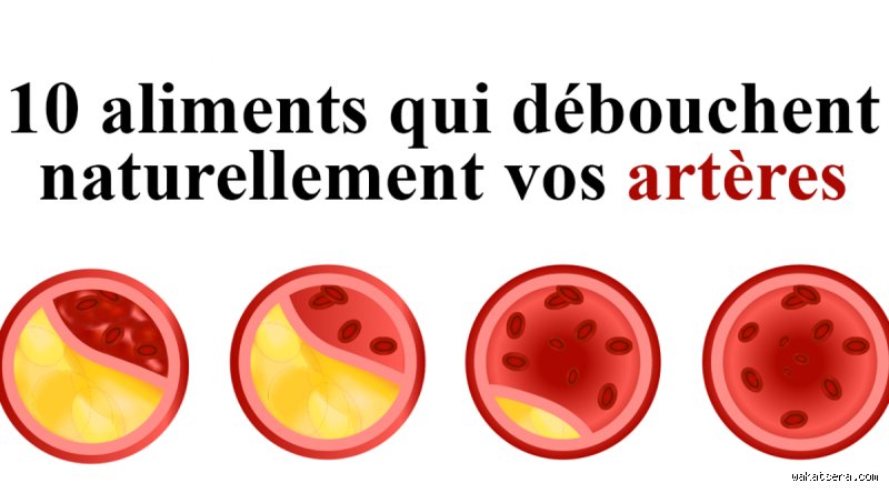 Quelle alimentation débouche les artères ? La vérité scientifique sur les aliments capables de nettoyer vos vaisseaux sanguins
