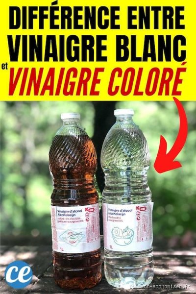 Quelle différence entre vinaigre blanc et vinaigre rouge ?