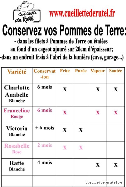 Quelle est la durée de conservation des pommes de terre : le guide ultime pour éviter le gaspillage et les intoxications
