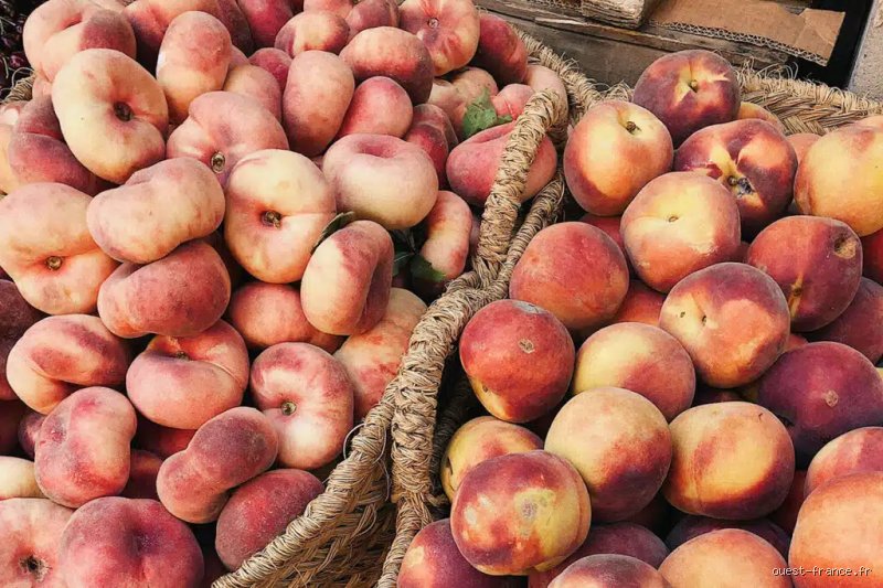 Quelle est la plus sucrée, la pêche ou la nectarine ? Le duel gustatif entre les deux stars des étals estivaux