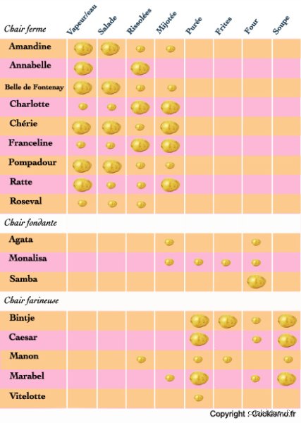Quelle est la pomme de terre idéale pour les frites ? Le guide ultime pour choisir le tubercule parfait et réussir votre cuisson