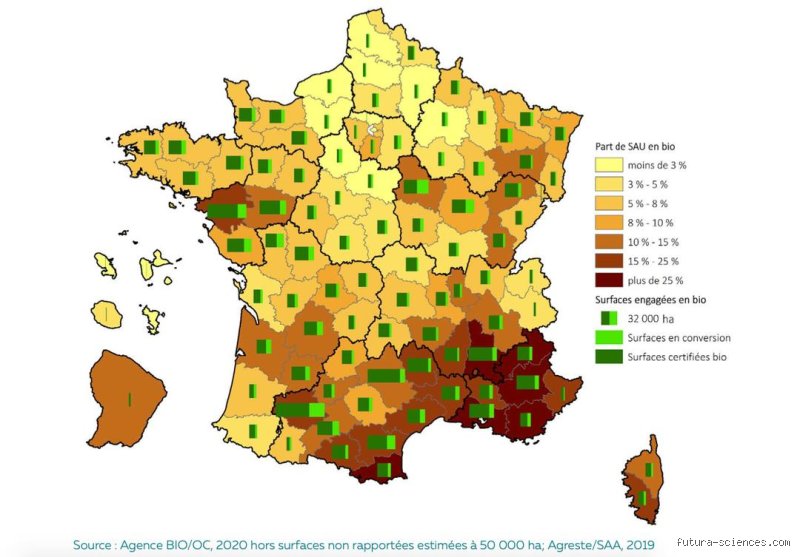 Quelle est la région la plus bio de France ? Le grand classement 2026 des territoires qui misent tout sur l'organique