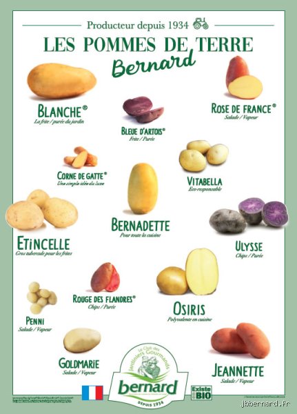 Quelle est la variété de pomme de terre qui se conserve le mieux pour éviter le gaspillage cet hiver ?