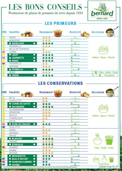 Quelle est la variété de pommes de terre qui se conserve le mieux pour éviter le gaspillage et cuisiner tout l’hiver ?