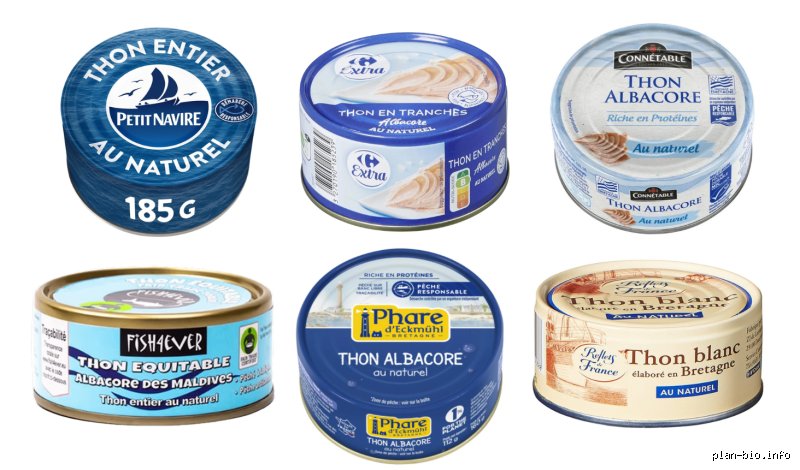Quelle marque de thon en boîte contient le moins de mercure ? Le guide d'achat complet pour consommer sans risque