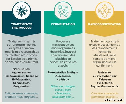 Quelles sont les quatre principales méthodes de conservation pour garantir la sécurité de vos aliments et stopper le gaspillage ?