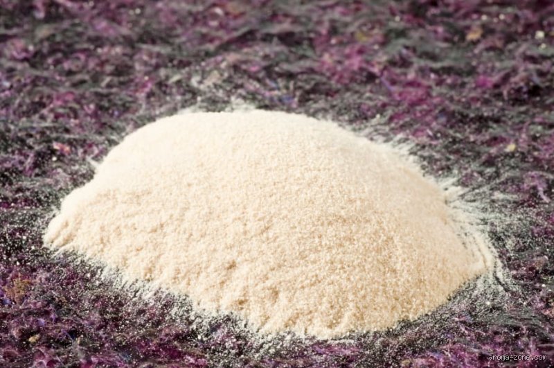 Quelles sont les vertus de l'Agar-agar ? Tout savoir sur cette poudre magique venue des profondeurs
