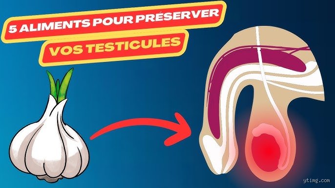 Quels aliments sont bons pour les testicules ? Le guide complet pour booster votre santé hormonale et reproductive naturellement