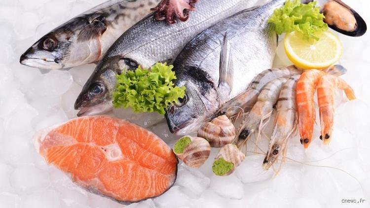 Quels fruits de mer sont riches en mercure ? Le guide complet pour consommer sans risque pour votre santé