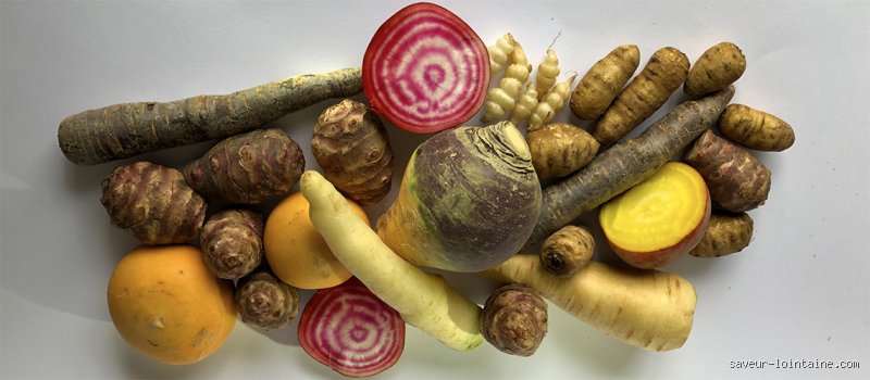 Quels légumes peut-on manger pendant la guerre ? Le guide ultime de l'autonomie alimentaire en période de crise majeure