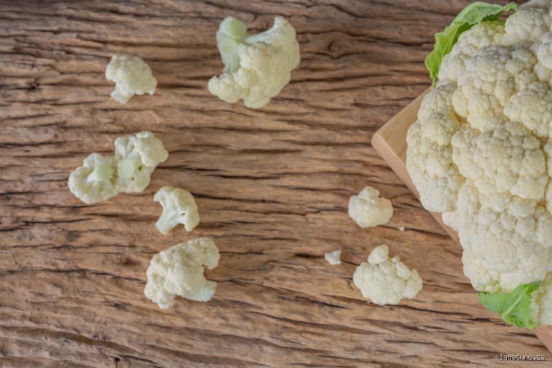 Quels sont les 10 légumes à ne jamais manger crus pour éviter les intoxications et optimiser votre digestion ?