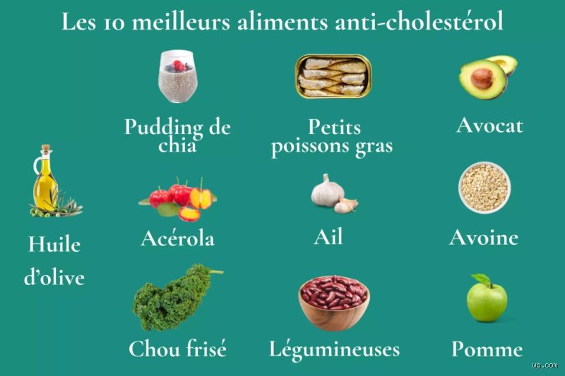 Quels sont les 10 meilleurs aliments pour réduire le cholestérol et transformer votre bilan lipidique naturellement ?