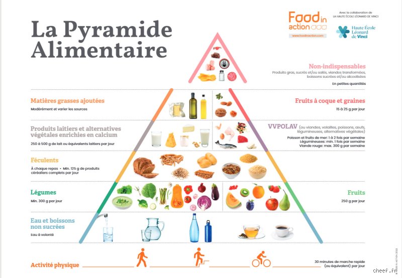 Quels sont les 3 régimes alimentaires ?