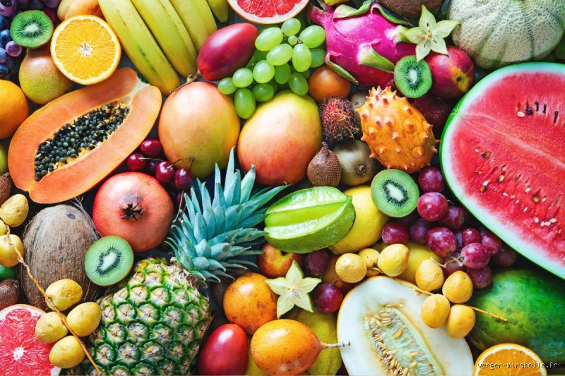 Quels sont les 4 fruits à éviter de manger en même temps pour préserver sa digestion et son énergie ?