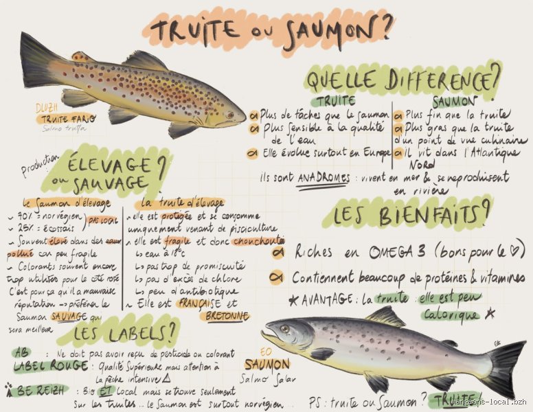 Quels sont les avantages de consommer du saumon pour votre santé et comment bien le choisir ?