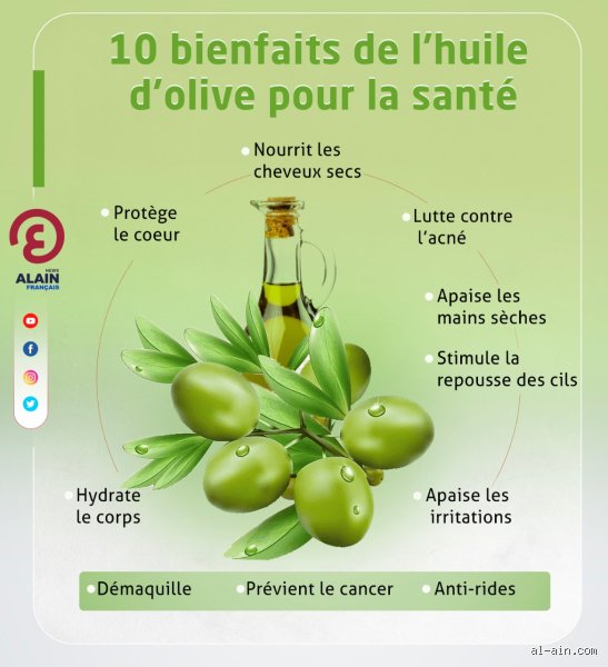 Quels sont les avantages et les inconvénients de l'huile d'olive ?