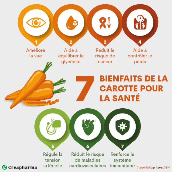Quels sont les effets des carottes sur la santé ? Enquête sans fard sur ce légume que l'on croit tous connaître par cœur