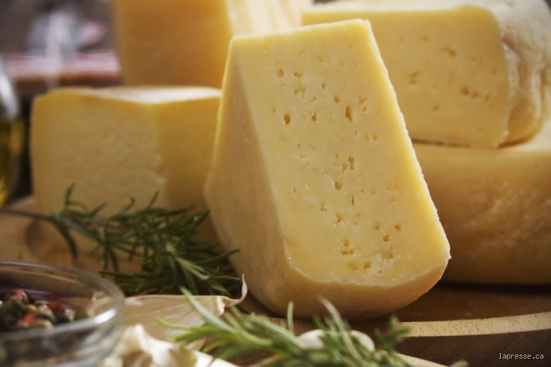 Quels sont les fromages les moins nocifs pour le cholestérol : le guide pour ne plus sacrifier son plaisir