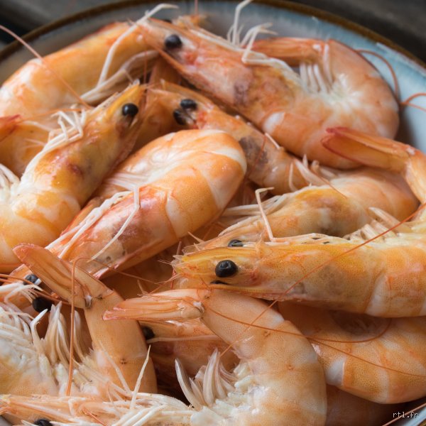 Quels sont les inconvénients de manger des crevettes ? Le revers de la médaille d'un crustacé adoré des Français