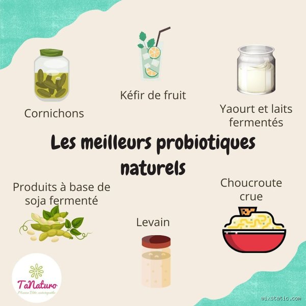Quels sont les probiotiques naturels ?