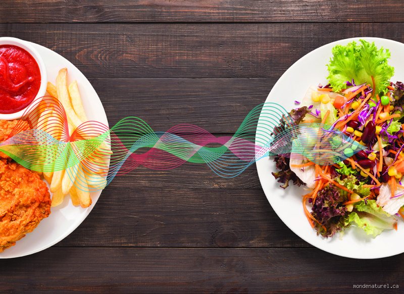 Quels types d'aliments déclenchent des fréquences vibratoires plus élevées : le guide complet pour une vitalité au-delà des calories