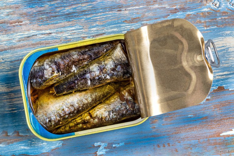 Y a-t-il un problème avec les sardines ? Enquête sur les paradoxes de notre boîte de conserve préférée