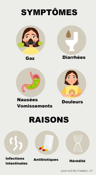Comment calmer une intolérance ? Le guide complet pour apaiser votre système digestif sans sacrifier le plaisir de manger