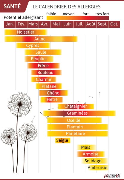 Quand Devient-on allergique ?