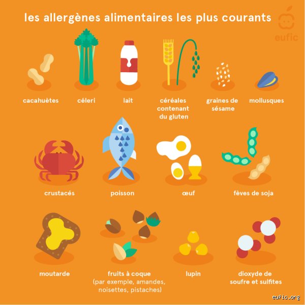 Quelles sont les deux intolérances les plus courantes ? Le grand décryptage des troubles du lactose et du gluten