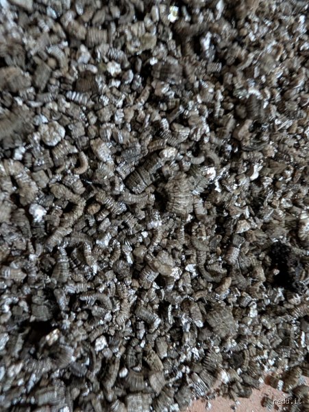 À quoi ressemble la vieille vermiculite ? Tout savoir pour identifier cet isolant potentiellement dangereux dans votre grenier