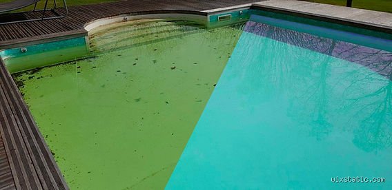 Comment rattraper une eau saturée de piscine : le guide d’expert pour éviter la vidange totale