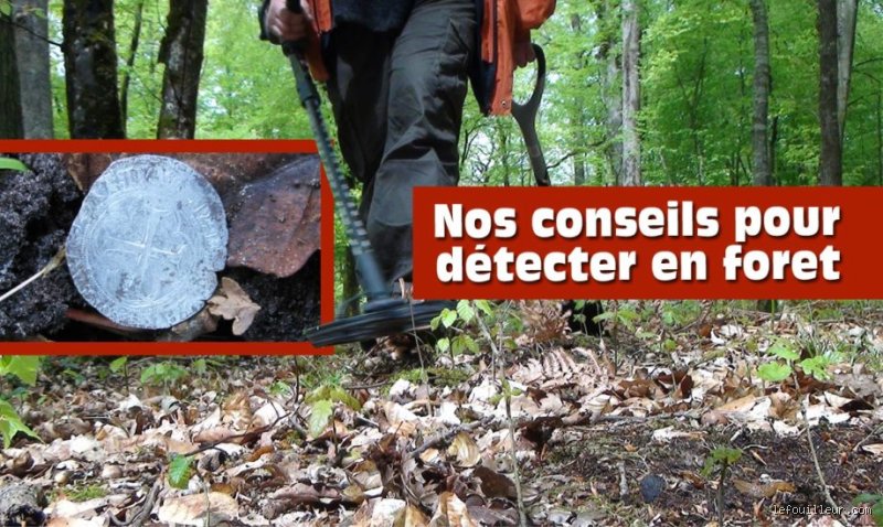 Où détecter de l'or en forêt : mes conseils personnels après des années sur le terrain