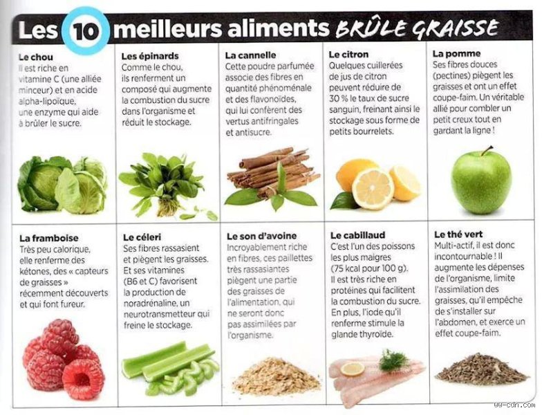 Qu'est-ce qui brûle les graisses la nuit ? La vérité scientifique sur votre métabolisme nocturne et les mécanismes de l'oxydation lipidique
