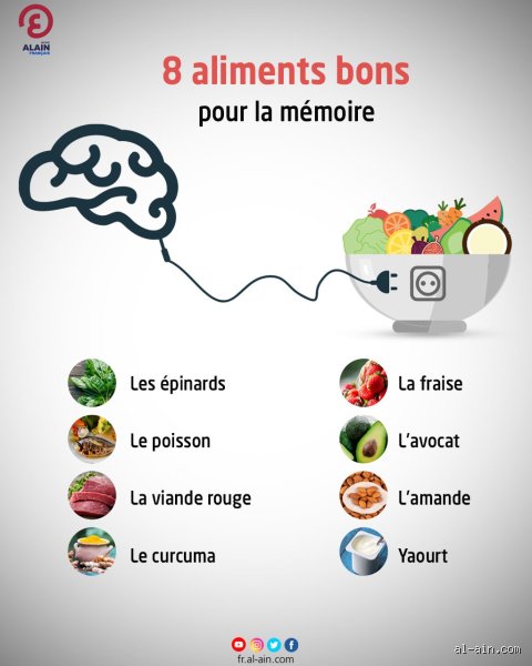 Qu'est-ce qui favorise une bonne mémoire ? Les véritables leviers biologiques et cognitifs pour ne plus rien oublier