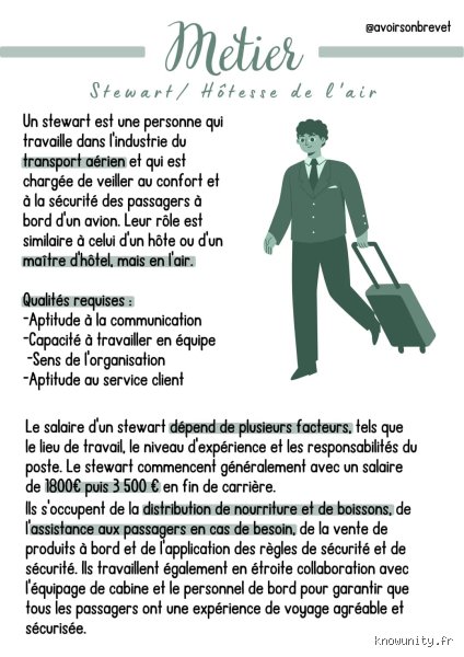 Qu'est-ce qui vous disqualifie pour le métier d'hôtesse de l'air ? Les réalités cachées du recrutement PNC