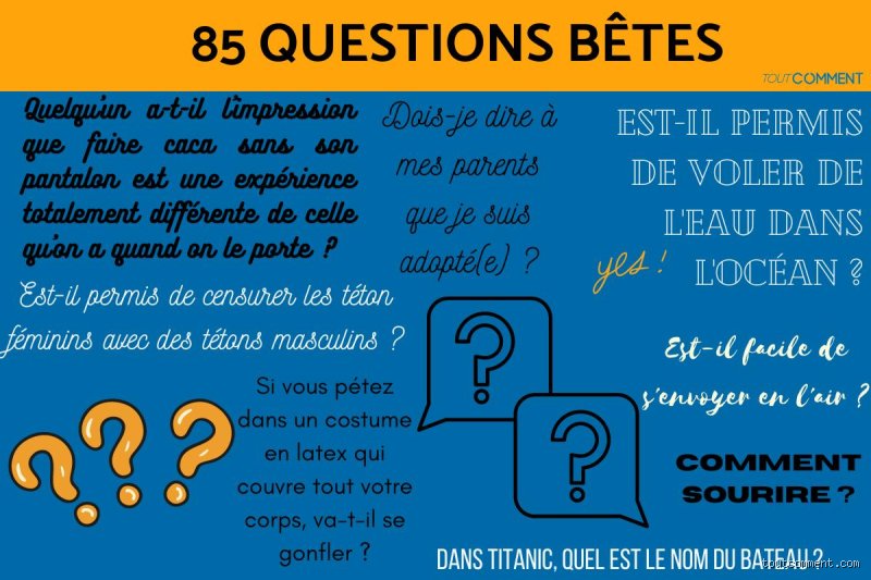 Quelle est la question la plus bête à poser ? Enquête sur l'art de l'interrogation inutile et les mécanismes du doute